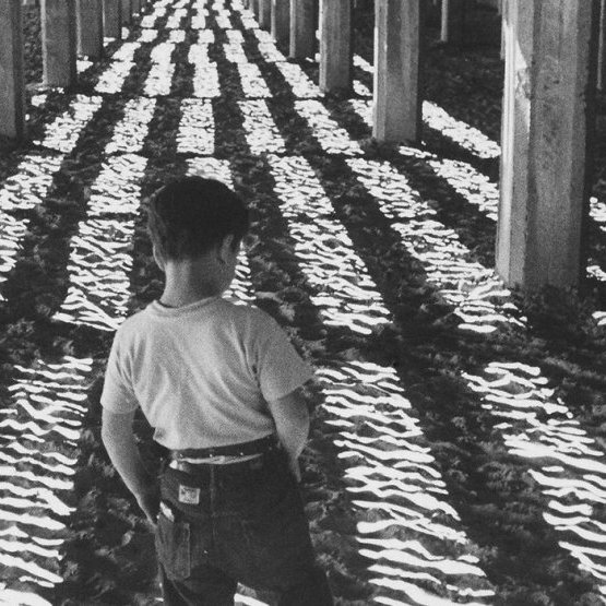 Le petit fugitif de Morris Engel, Ruth Orkin et Raymond Abrashkin