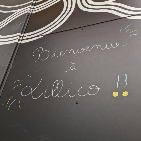 Lillico Jeune Public